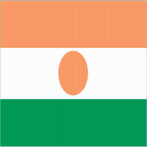 Niger Facts أيقونة