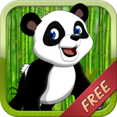 Panda Match - Zoo Run From Dr icon