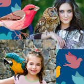 Birds Photo Collage Maker icon
