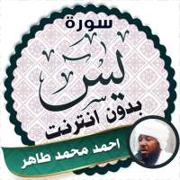 surah yasin full Ahmed Mohamed Taher Offline on 9Apps