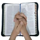 Alkitab Audio on 9Apps