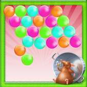 Hungry Bird Bubble Shooter