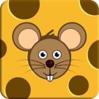 Visual Memory Training