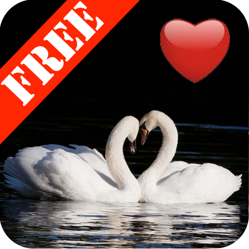 I Love My Photos Free icon