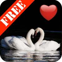 I Love My Photos Free