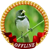 Cantos de Coleiro Mateiro icon