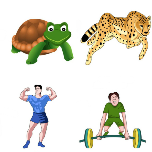 Guess adjective and Opposite icon