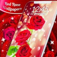 Red Rose's wallpaper &WhatsApp Roses Sticker