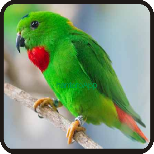 Kicau-Kicau Burung Serindit Terbaru icon