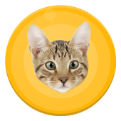 Human to cat translator - free icon
