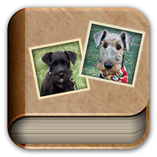 Photo Album Live Wallpaper icon