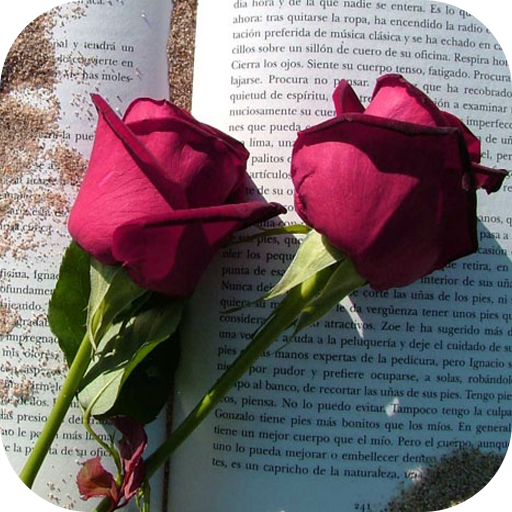 rosas de amor rosas con frases de amor con rosas icon