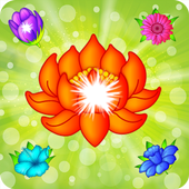 Blossom Crush 2016 icon