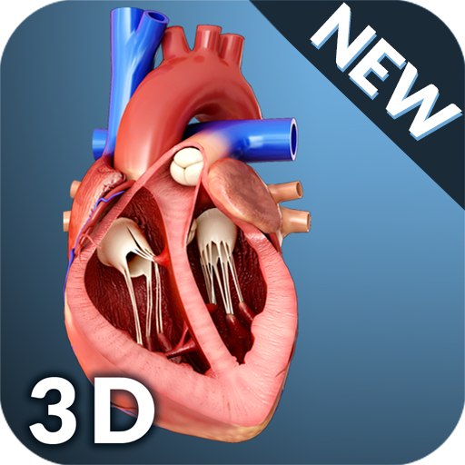 Heart Anatomy Pro. icon