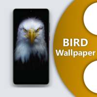 Themes for Birds: Birds Wallpapers