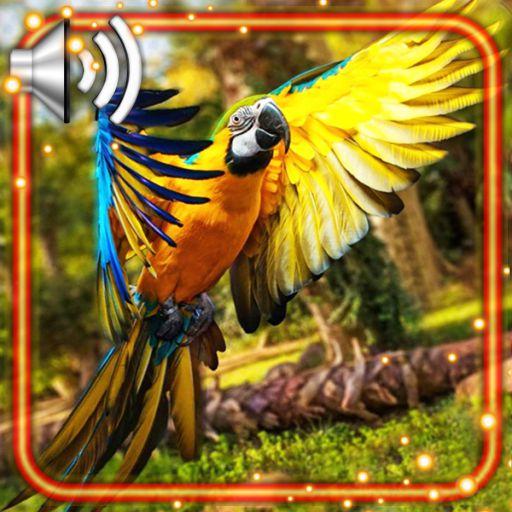 Tropic Parrot Live Wallpaper icon