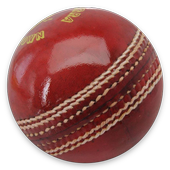 Simple Cricket Scorer icon