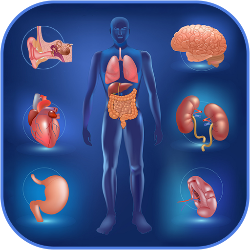 Human Anatomy and Physiology icon