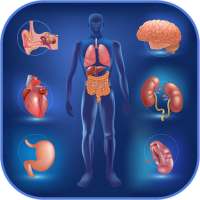 Human Anatomy and Physiology on 9Apps