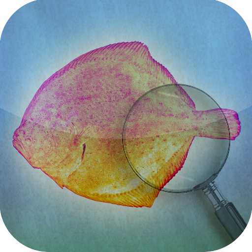 Fishbook icon