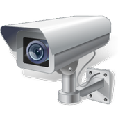 IP Camera icon