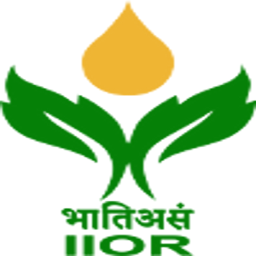 Oilseeds at a Glance icon