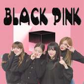 BlackPink Offline on 9Apps