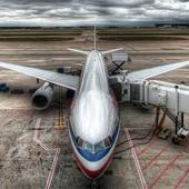 Plane Flight Simulation 3D icon