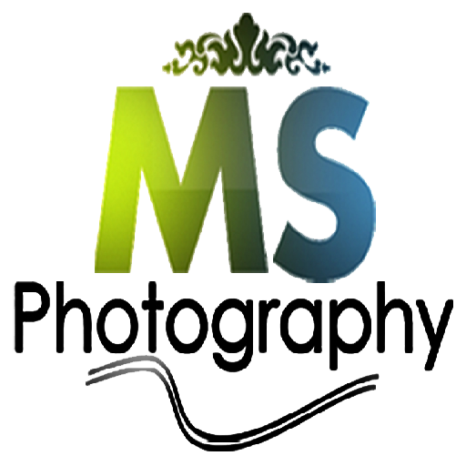 MS Photography - View &amp; Share Photo Album иконка