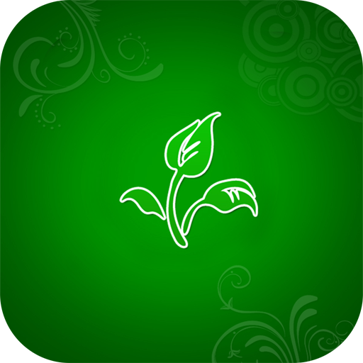 Floral wallpaper for whatsapp icon
