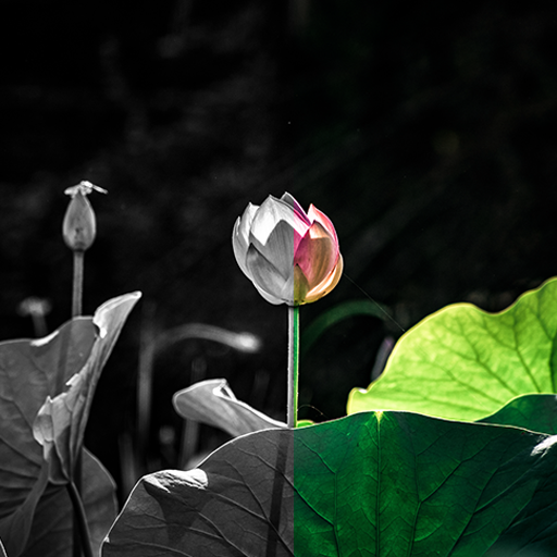 Presets and Filters for VN أيقونة