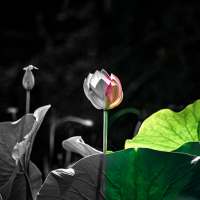 Presets and Filters for VN on 9Apps