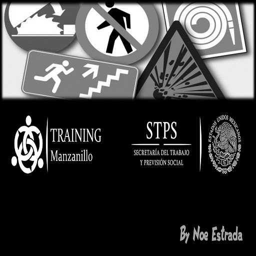 NORMAS STPS TRAINING MZO icon