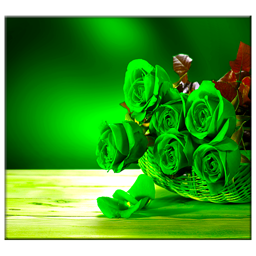 Green Rose Live Wallpaper icon