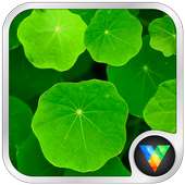 Green Duckweed Live Wallpaper on 9Apps