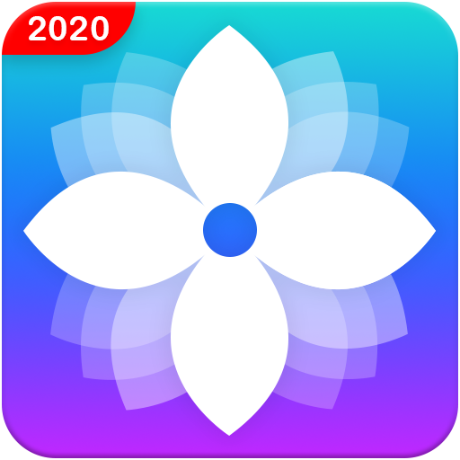 SAX Video Gallery - Gallery ,Hide images and video icon