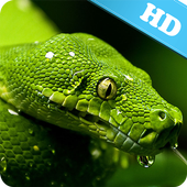 Snake Live Wallpaper icon