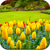Garden wallpaper icon