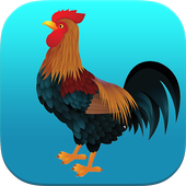 Rooster Sounds Ringtones ♪ icon