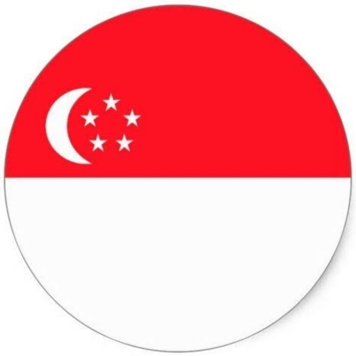 Singapore VPN -Safe VPN Master icon