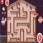Cat and mouse Games