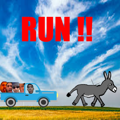 Donkey Run ! icon
