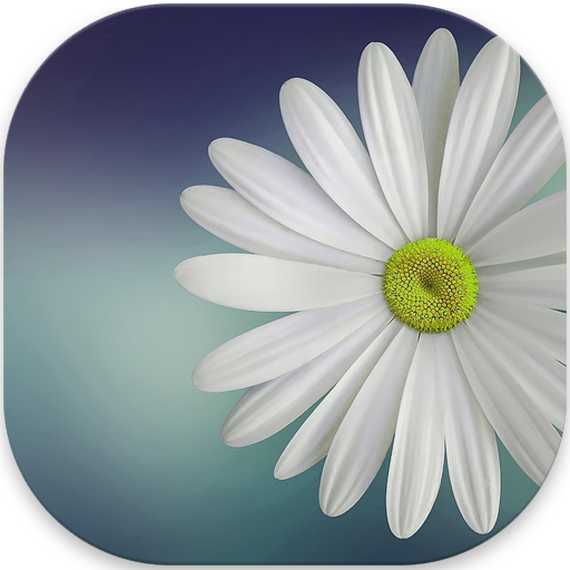 Gallery Lite - Photos, Videos icon