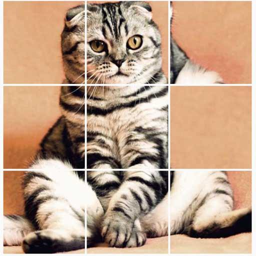 Puzzle Kittens - Cute Cat Puzzle icon