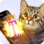 Petard for cat joke on 9Apps