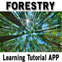 Forestry on 9Apps
