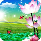 Lotus Live Wallpaper Free