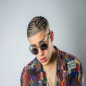 Bad Bunny songs offline icon