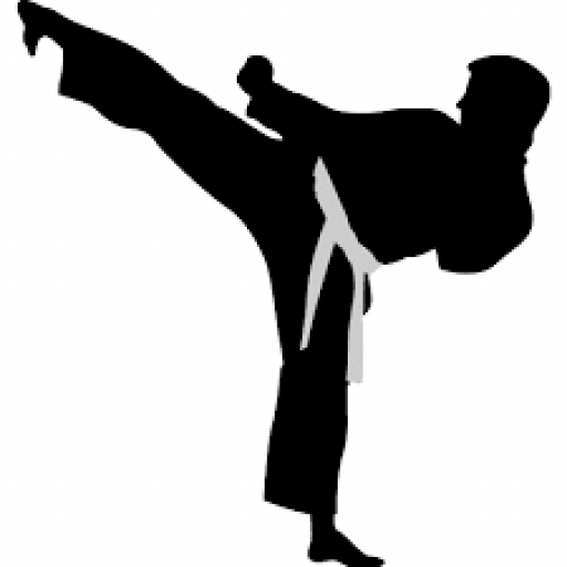 AK Karate icon