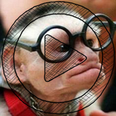 Funny Videos 2016 icon